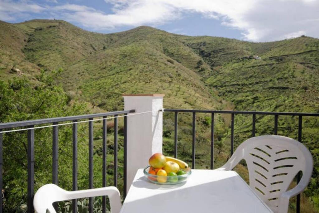 The Vine Rubite (Granada)